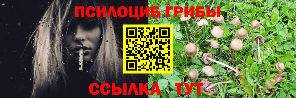 Галлюциногенные грибы прущие грибы  Галлюциногенные грибы прущие грибы  Топки  Вход с VPN 